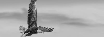 Page image for Free people form community